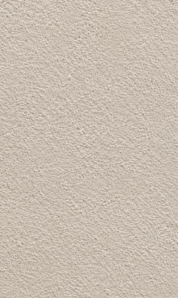 Tierra Suave texture: soft, matte earth plaster in a warm stone tone